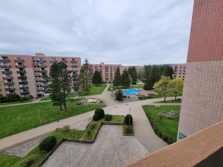Ferienwohnung Altenau Im Harz, Hunde Экстерьер фото